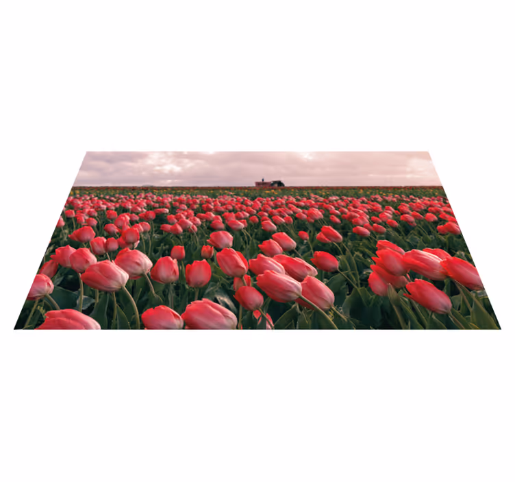 Rød lyserød tulipan felt blomster vinyl tæppe - TenStickers