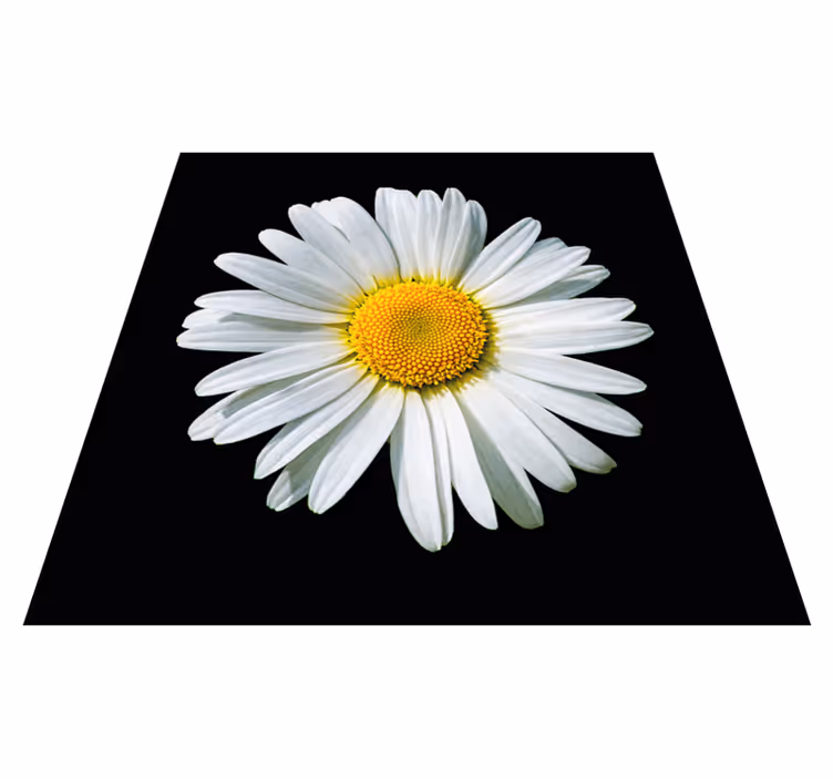 Margueritblomst Blomster og planter vinyltæppe - TenStickers
