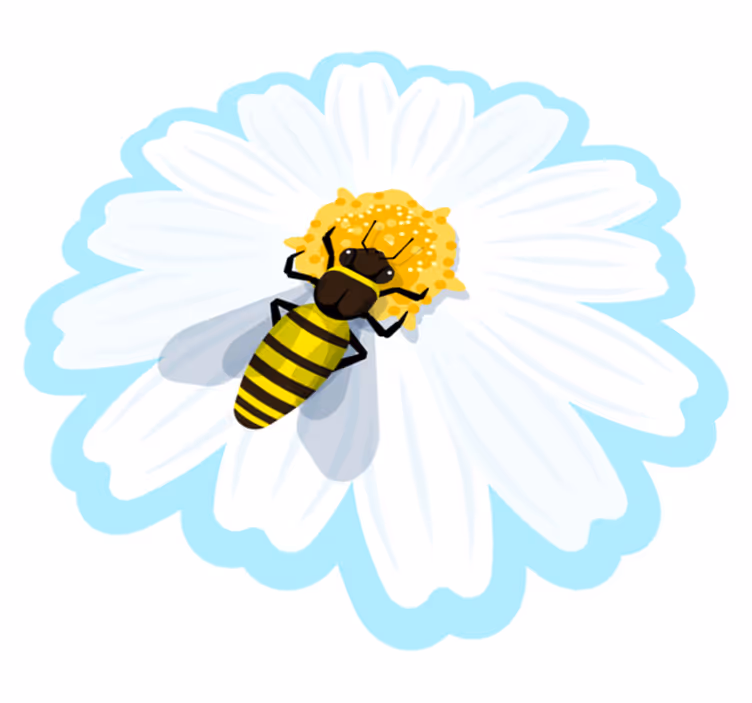 Bi på marguerit Blomster og planter vinyltæppe - TenStickers
