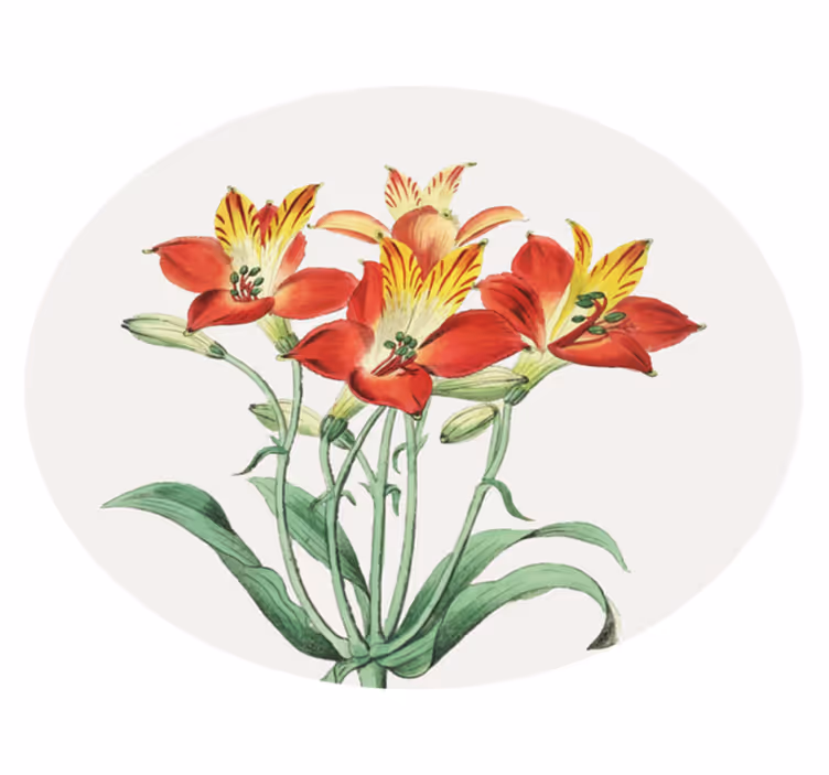 Blomster og planter vinyltæppe livlige røde blomster - TenStickers