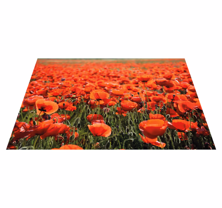 Livlige røde valmuer Blomster og planter vinyltæppe - TenStickers
