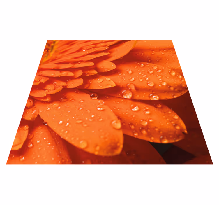 Orange blomst i nærbillede blomster tæppe - TenStickers