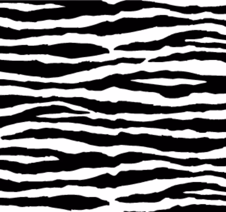 Tapet med dyr zebra striber - TenStickers