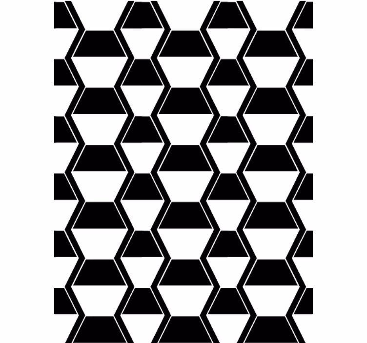 Tapet i stuen i cosmopolitan stil sort hvid hexagoner - TenStickers