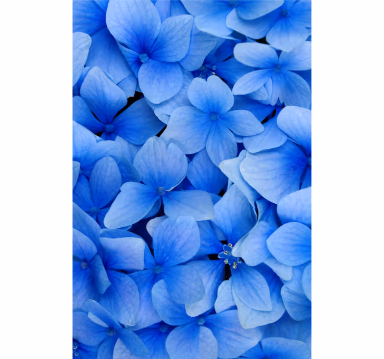Tapet i stuen med hortensia petal mønster - TenStickers