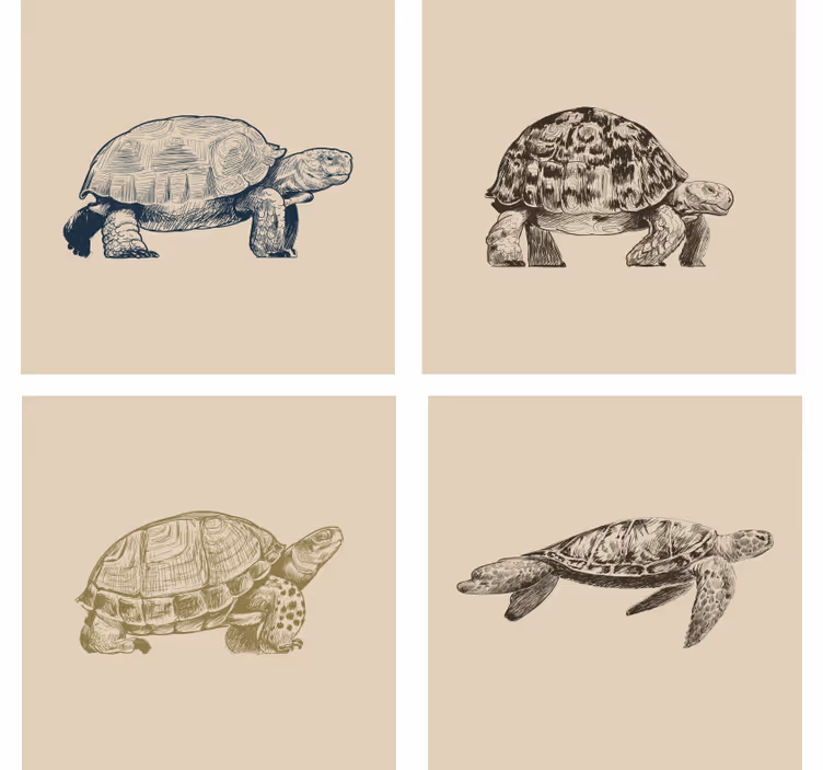 Retro tapet med skildpadder på beige baggrund - TenStickers