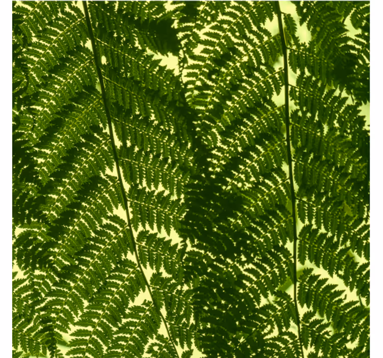 Nordisk tapet grøn bregneplante - TenStickers
