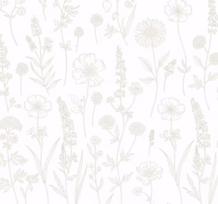 Tapet i stuen botanisk skitse sti - TenStickers