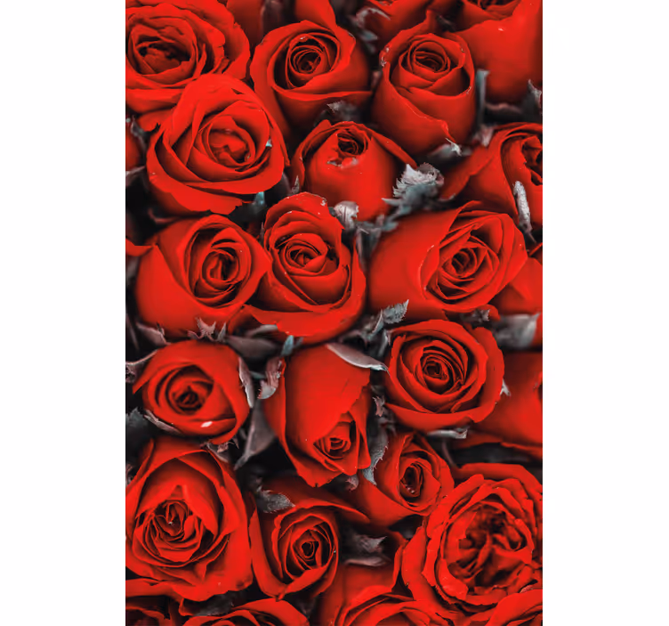 Blomster tapet røde roser romantisk - TenStickers