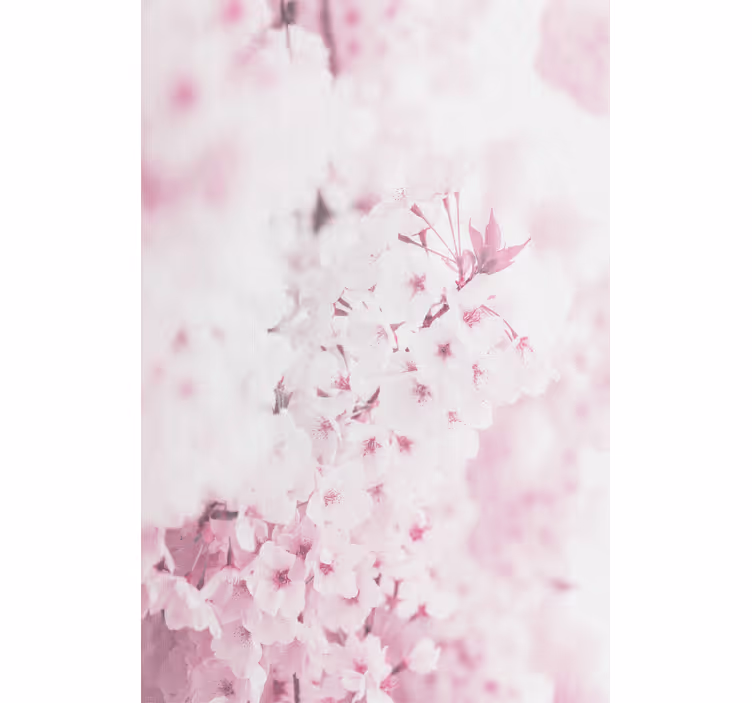 Blomster tapet lys rosa blomster baggrund - TenStickers