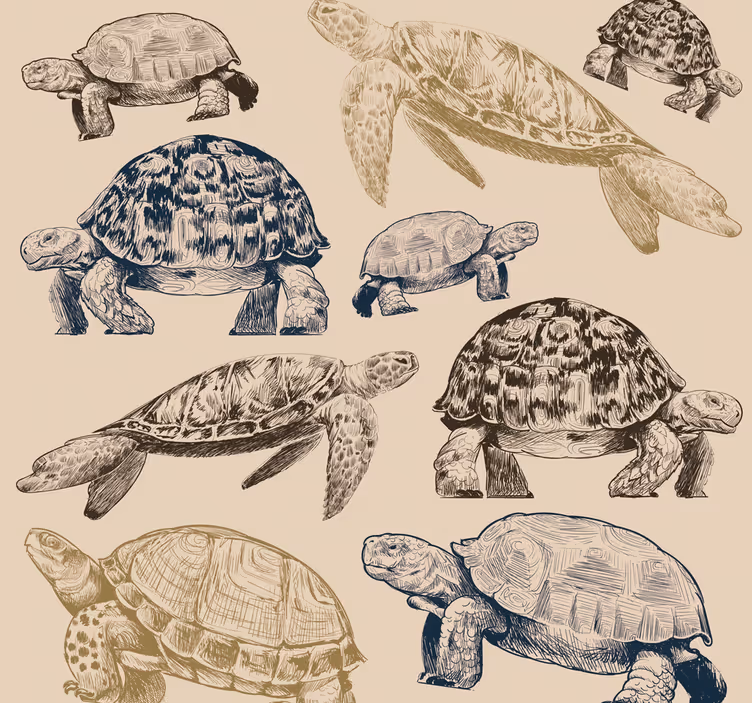 Skildpadder beige baggrund dyr tapet - TenStickers