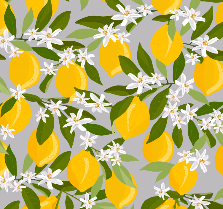 Citron træ køkken tapet - TenStickers