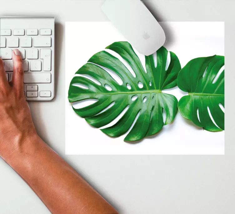 Realistiske monstera flere musemåtter - TenStickers