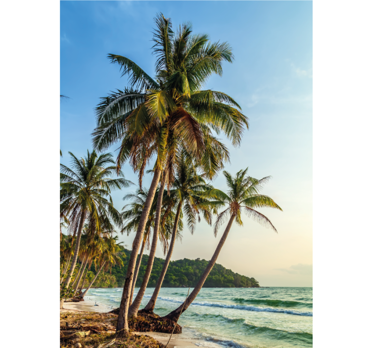 Palmer på stranden rullegardin til badeværelse - TenStickers