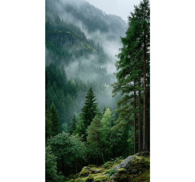 Rullegardin træ det stemningsfulde valg - TenStickers