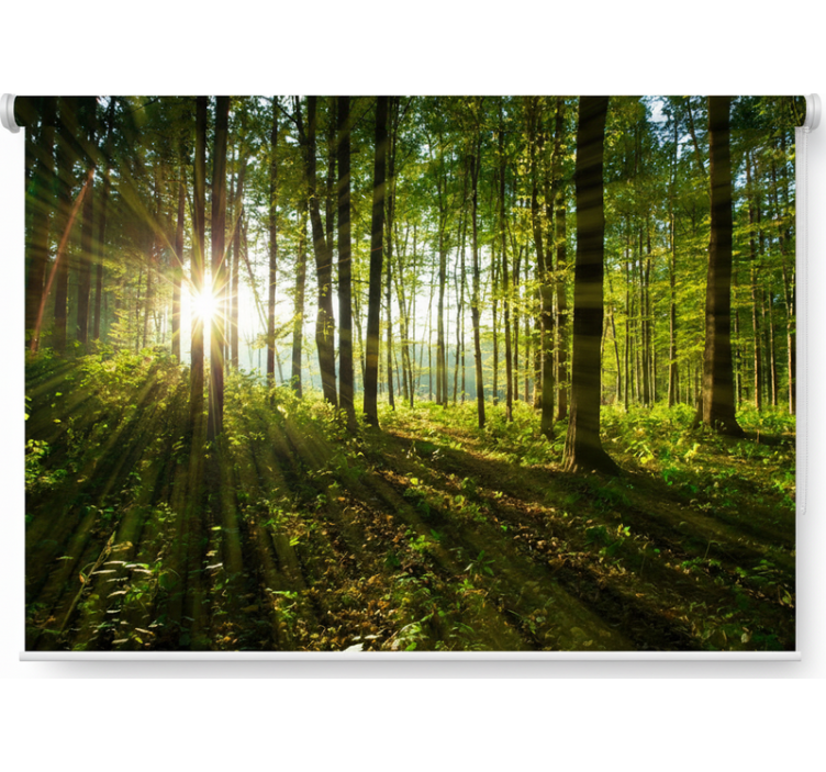 Rullegardin træ gyldne solstråler - TenStickers