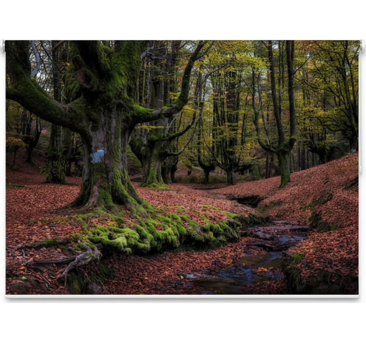 Rullegardin træ fortryllet efterårs skov - TenStickers