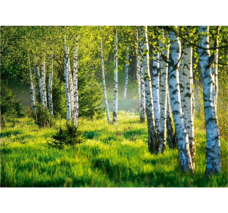 Rullegardin træ birch grove moderne - TenStickers