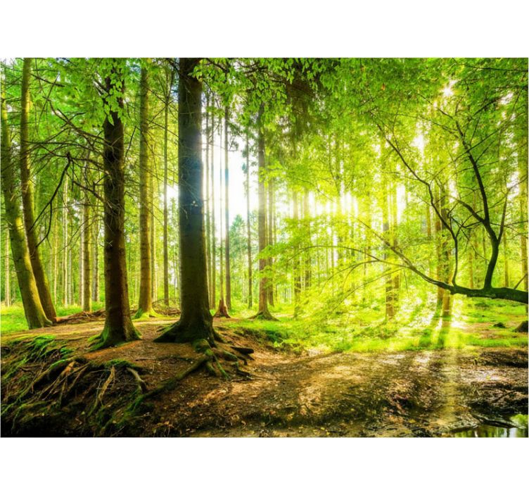 Rullegardin træ lush mountain valley - TenStickers