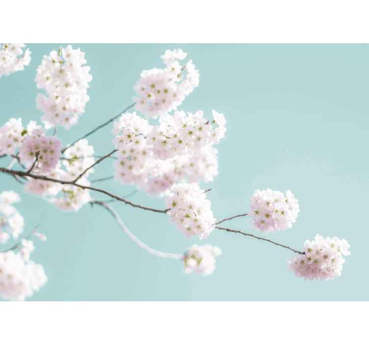 Rullegardin køkken elegant og feminint blomstermotiv - TenStickers