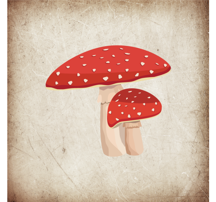 Rullegardin køkken amanita svampe illustration - TenStickers
