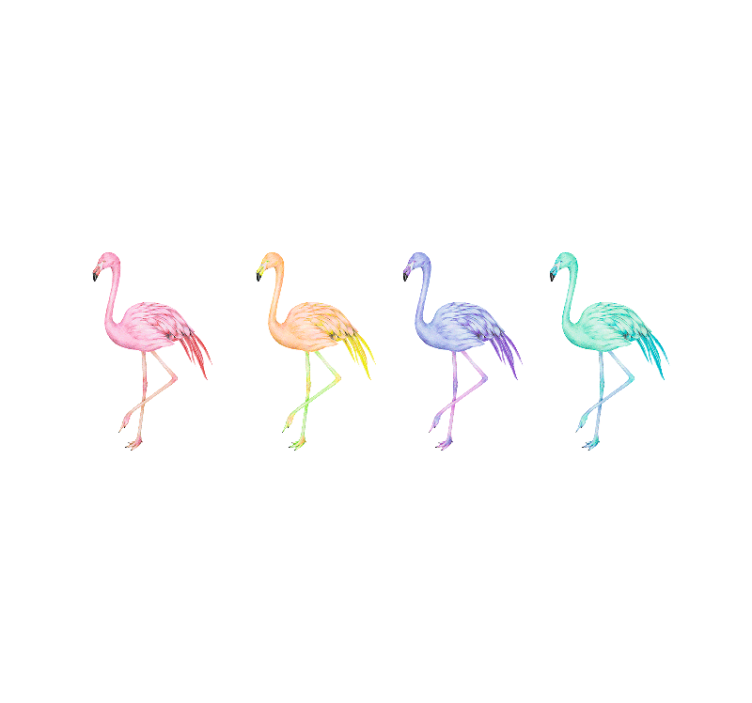 Hvid rullegardin med farverige sømløse flamingoer - TenStickers