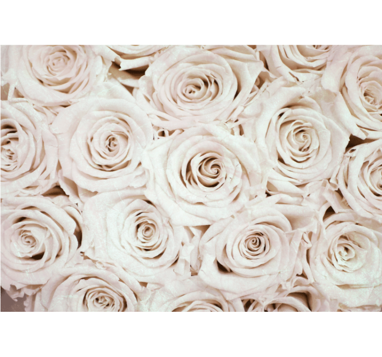 Hvid rullegardin med elegant rosa blomstermotiv - TenStickers