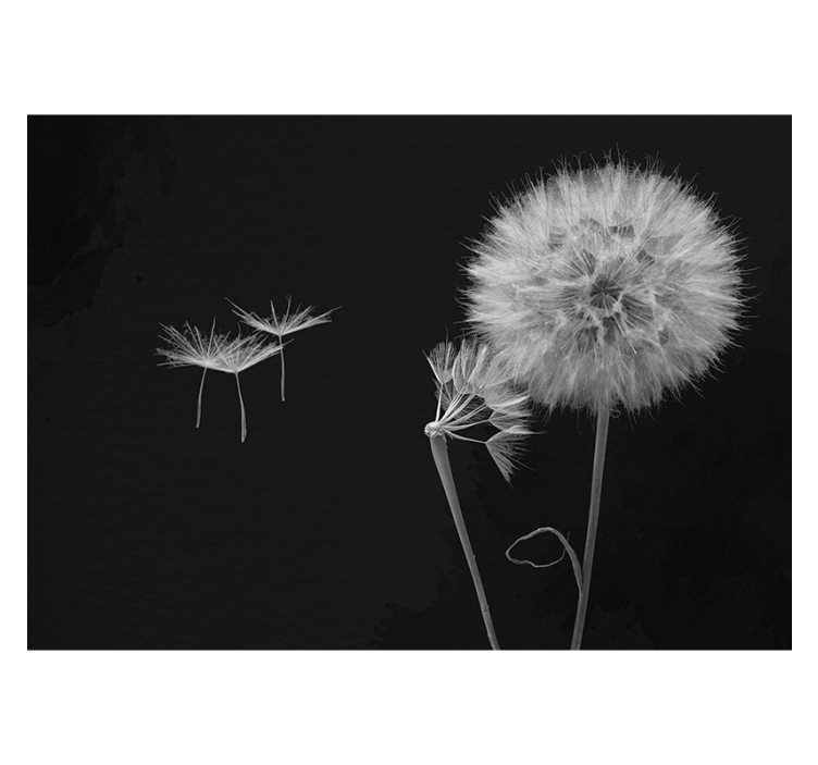 Sort rullegardin dandelion hoved med frø - TenStickers