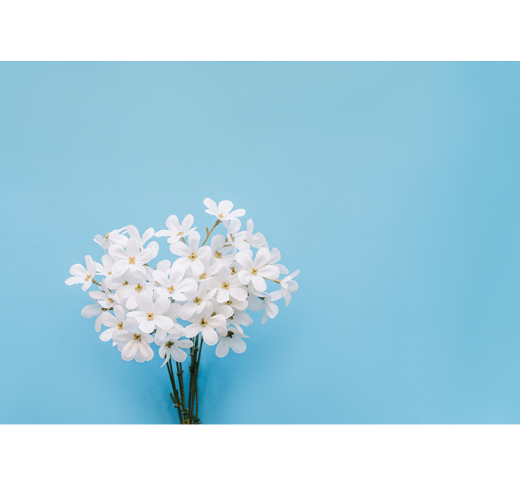 Jazmin blå baggrund blå rullegardin - TenStickers