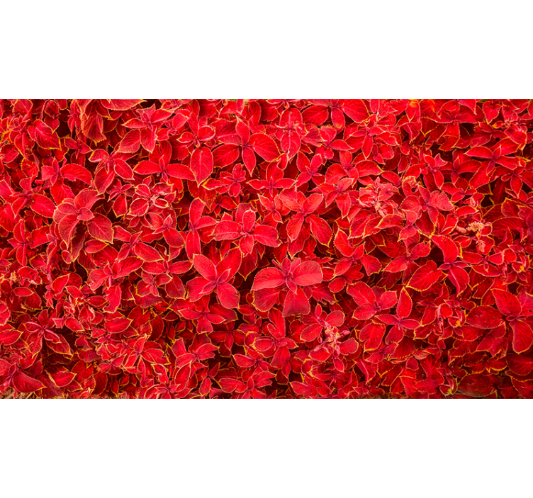 Rullegardin rød blomsterblad mønster - TenStickers