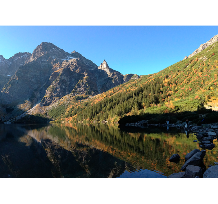 Grønne rullegardiner morskie oko om foråret - TenStickers