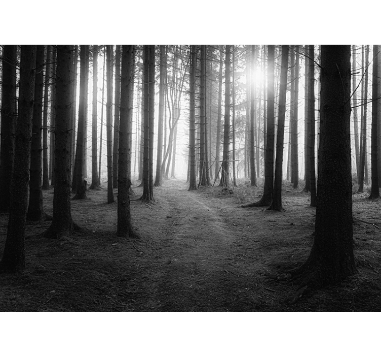 Grå rullegardin fortryllet skov - TenStickers