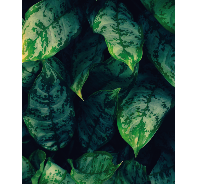 Levende grønne blade Blomster og planter på rullegardin - TenStickers