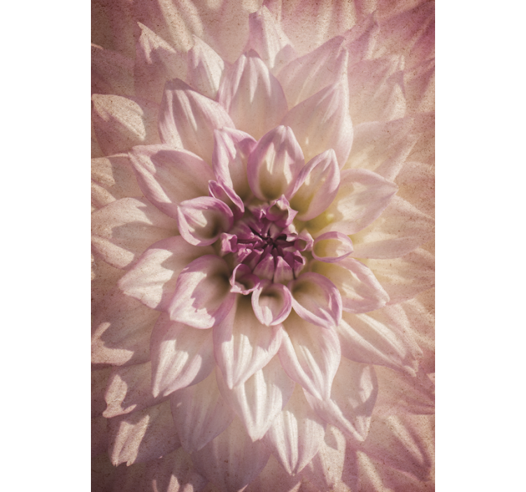 Delikat blomstring Blomster og planter på rullegardin - TenStickers