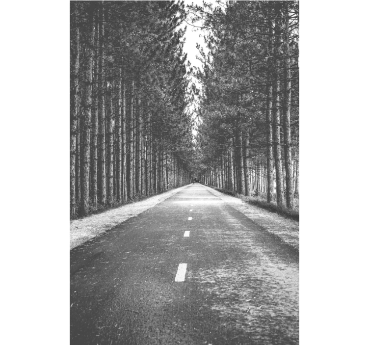 Fredfyldt skovsti rullegardin - TenStickers