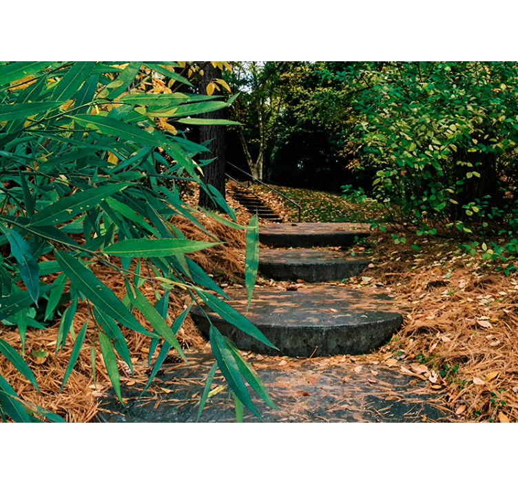 3d skov og lille vej originale rullegardiner - TenStickers