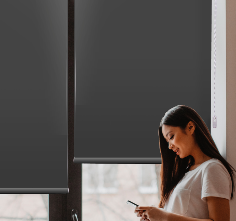 Koksgrå almindelig farve elegant rullegardin - TenStickers