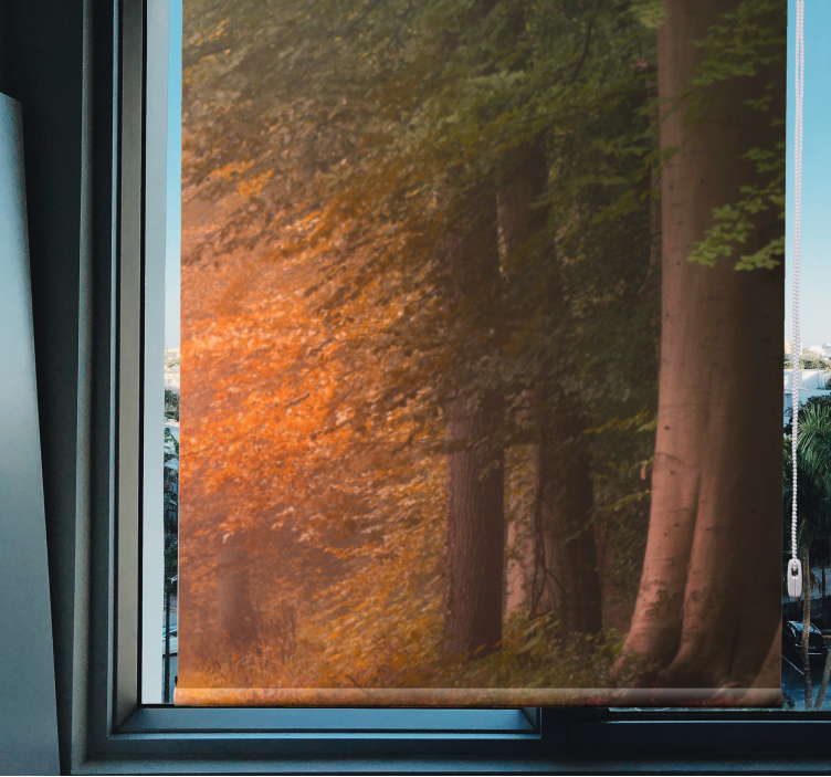 Dyb fantastisk skov originale rullegardiner - TenStickers