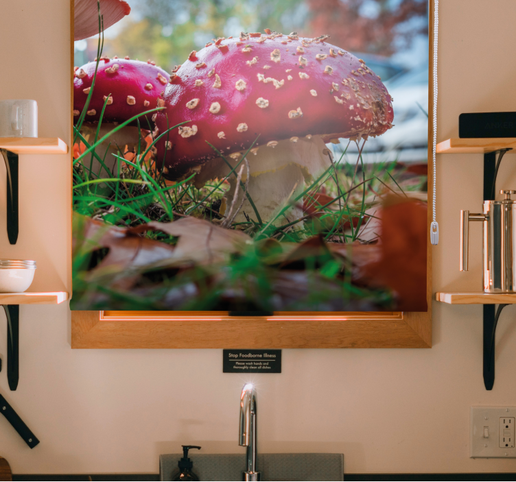 Livlige røde svampe Blomster og planter på rullegardin - TenStickers