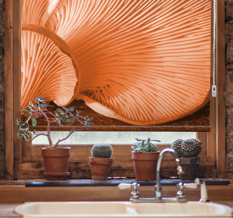 Orange vilde svampe under Rullegardinmaleri - TenStickers