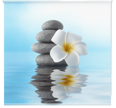 Zen gennemskinnelig blå rullegardin til badeværelse - TenStickers