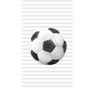 Hvid og sort kugleRullegardin fodbold - TenStickers