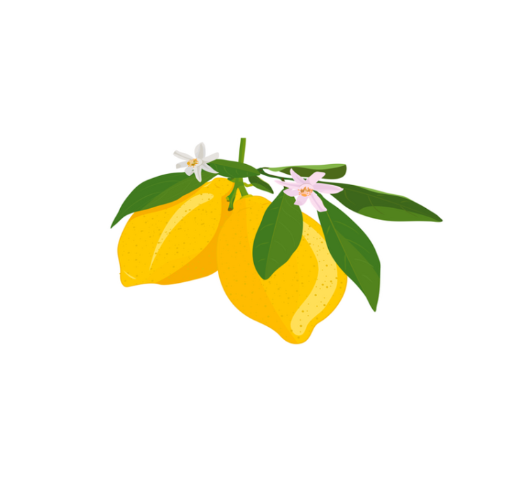 Original dækkeserviet med citrongren illustration - TenStickers