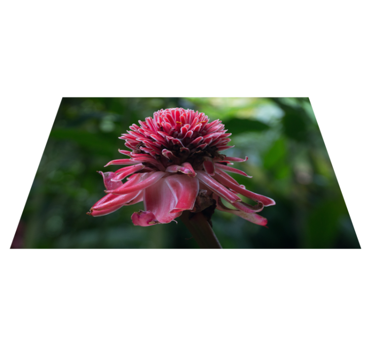 Original dækkeserviet tropisk blomsterarrangement - TenStickers