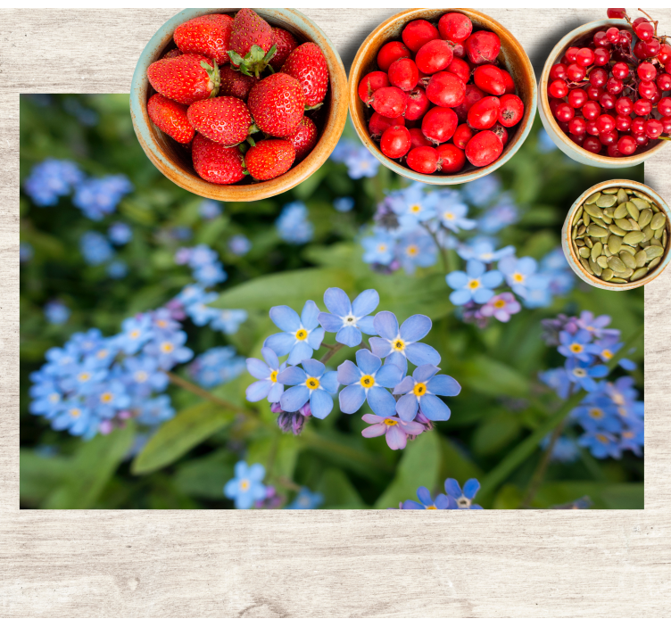 Søde små blå blomster blomsterplader - TenStickers