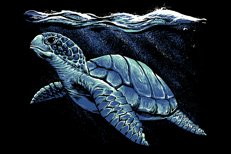 Skildpadde hånd tegning skildpadde placemats - TenStickers