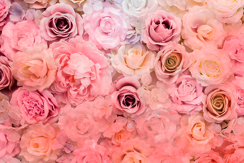 Tæt på lyserøde roser elegante dækkeservietter - TenStickers