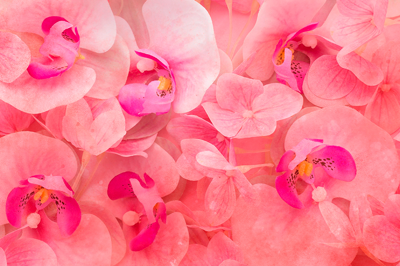 Lyserøde blomster med gule mellemplader - TenStickers