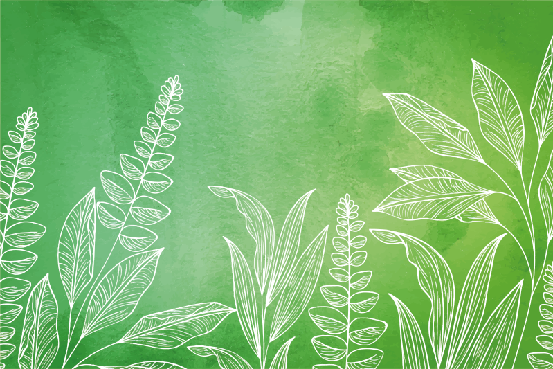 Dækkeserviet børn te sæt med blade - TenStickers