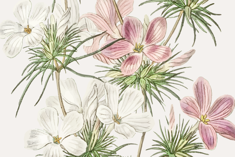 Original dækkeserviet blomster botanisk arrangement - TenStickers